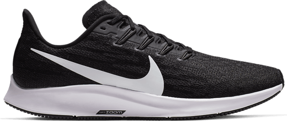 nike pegasus stadium