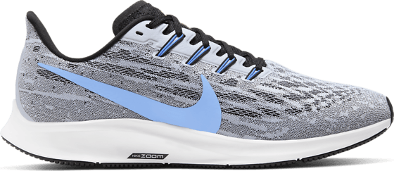 nike pegasus stadium