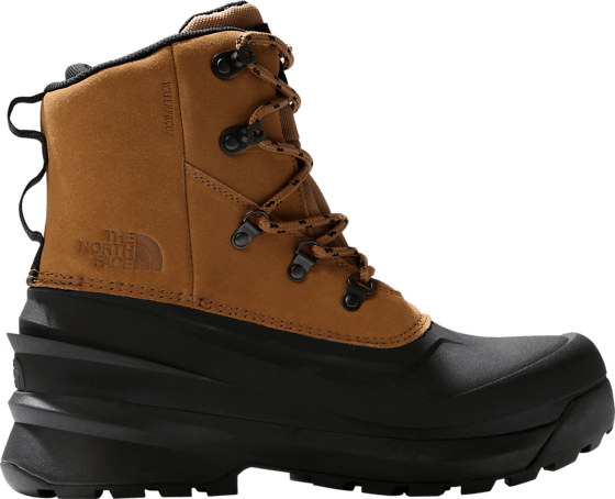 
THE NORTH FACE, 
M CHILKAT V LACE WP, 
Detail 1
