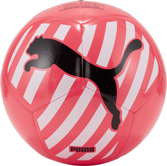 
PUMA, 
PUMA Big Cat ball, 
Detail 1
