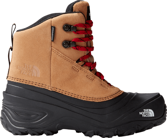 
THE NORTH FACE, 
J CHILKAT V LACE WP, 
Detail 1
