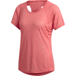 276973101101 ADIDAS W CNTMPRY TEE 276973101101 ADIDAS W CNTMPRY TEE Standard Small1x1