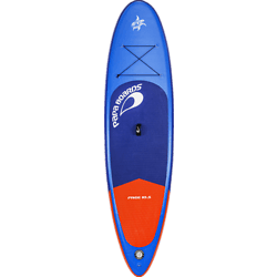 366826101101 PAPA BOARDS FREE 10'5 SET  Standard Small1x1