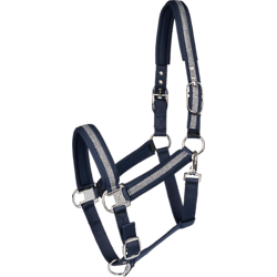 NATE HALTER - NAVY Standard Small1x1