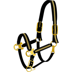 NATE HALTER - BLACK Standard Small1x1