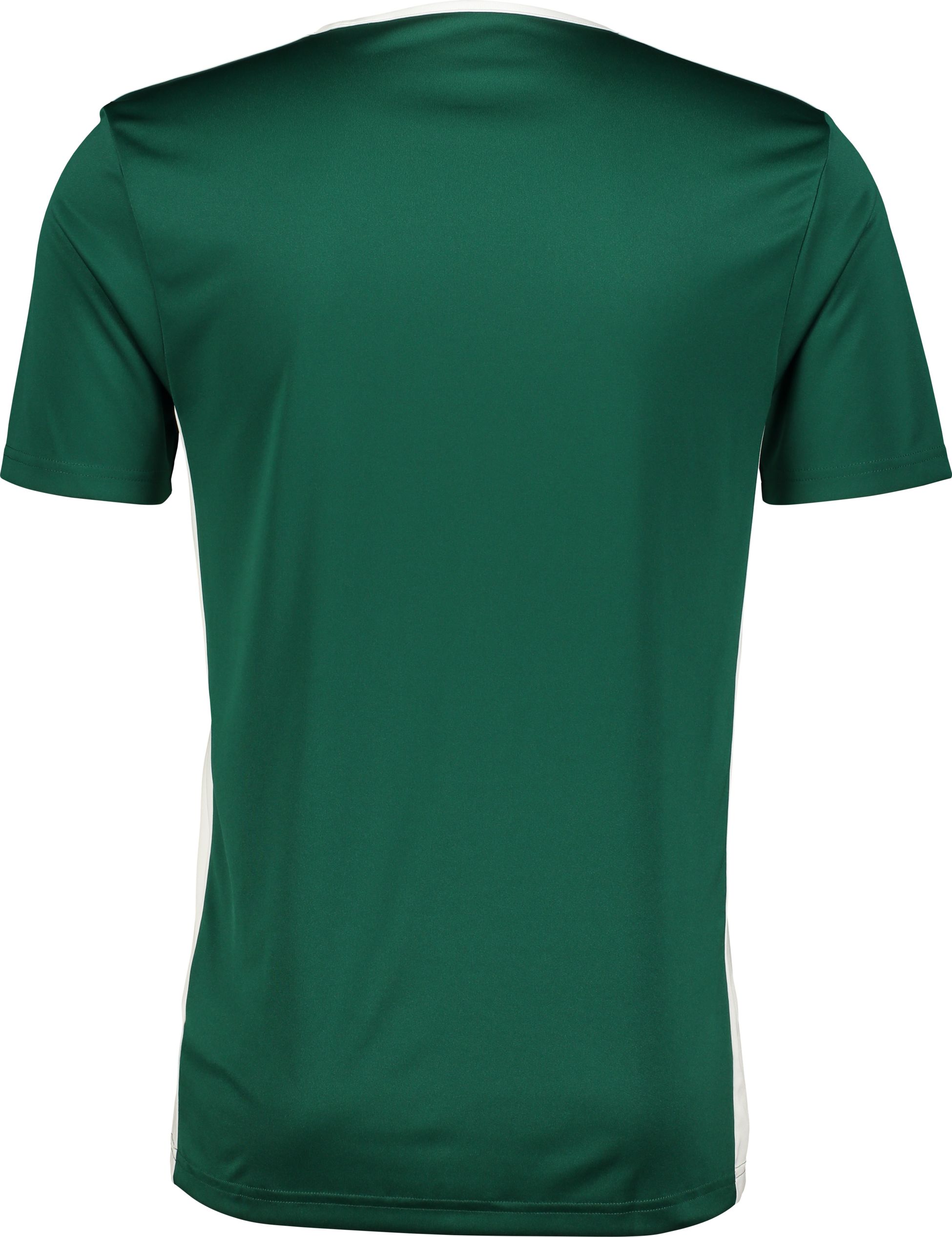 ADIDAS, ENTRADA 18 JSY