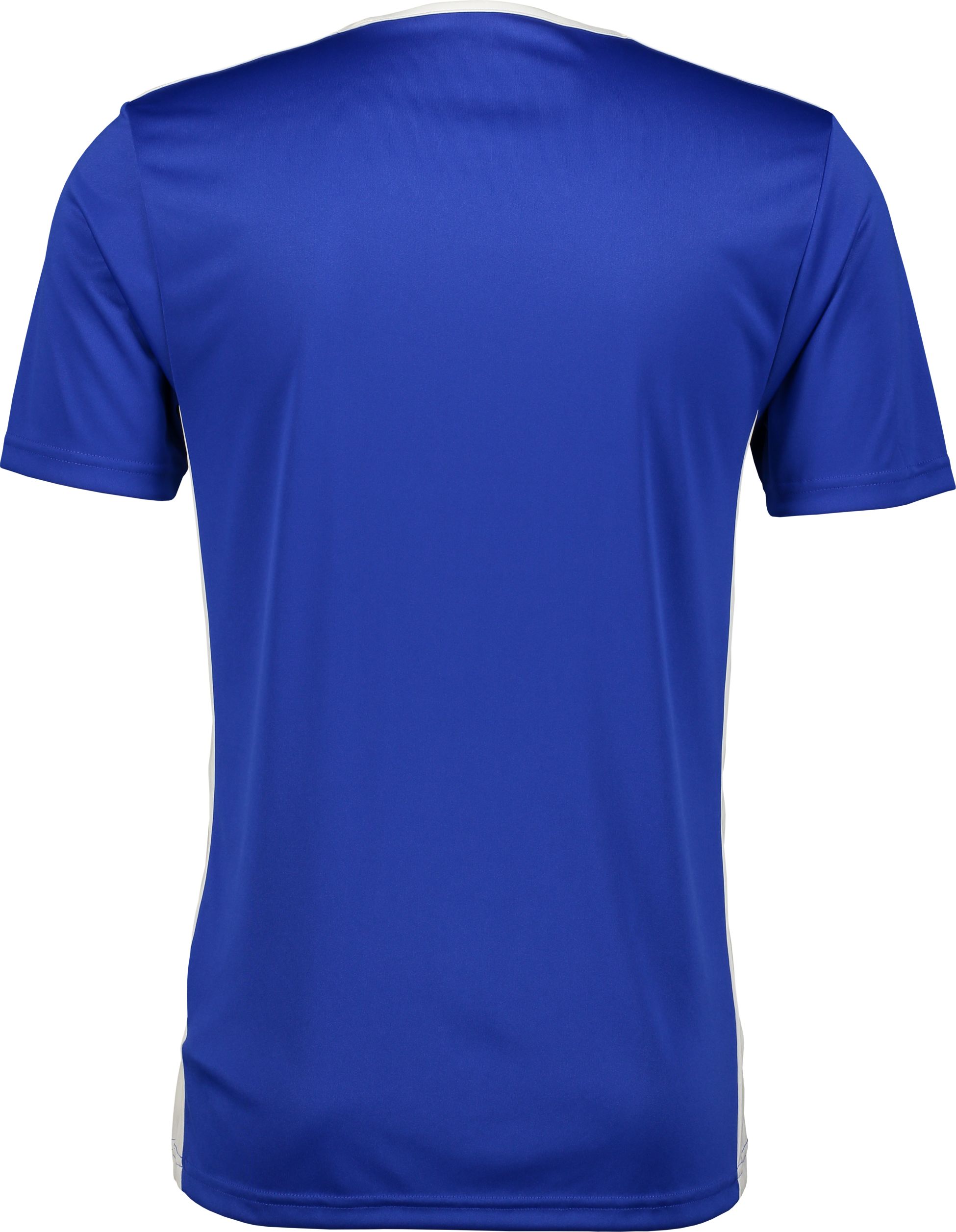 ADIDAS, ENTRADA 18 JSY
