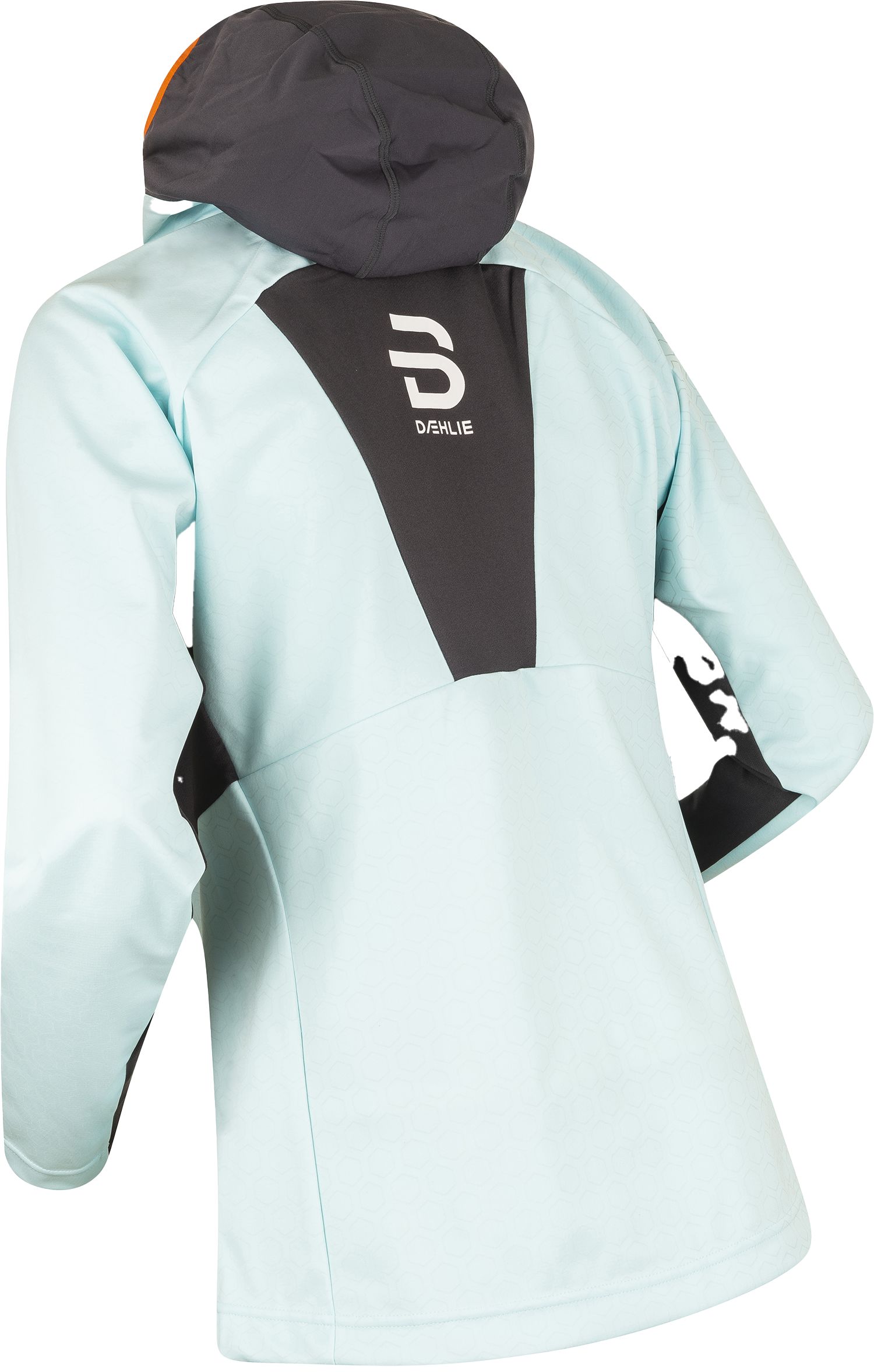 DAHLIE, W NORTH JACKET