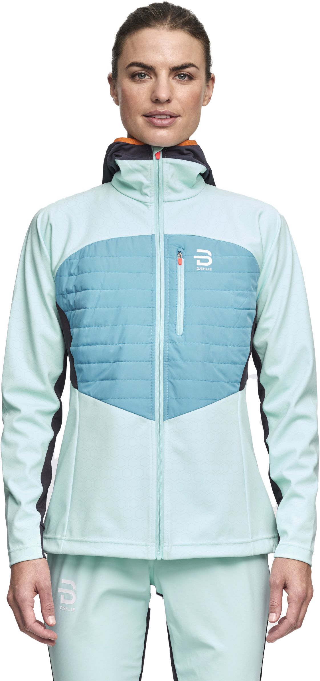 DAHLIE, W NORTH JACKET