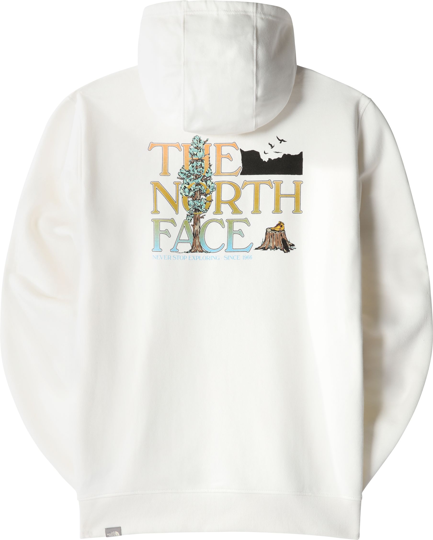 THE NORTH FACE, M SEASONAL GRAPHIC HOODIE