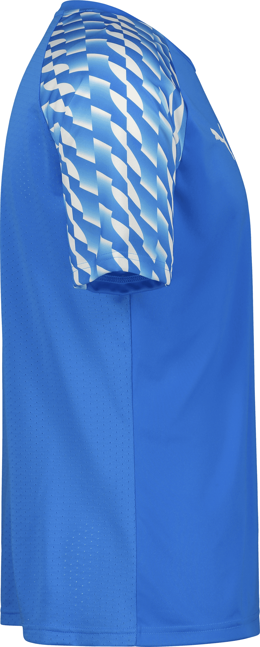 Puma, TEAMLIGA26 JERSEY JR-100865, Unknown 0