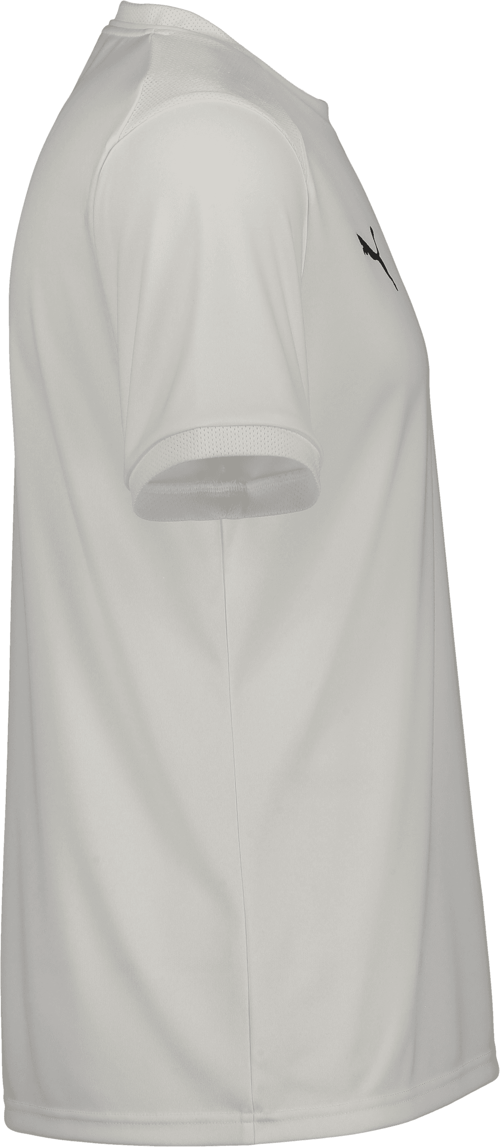 Puma, TEAMLIGA26 MATCHDAY JERSEY-108234, Unknown 0