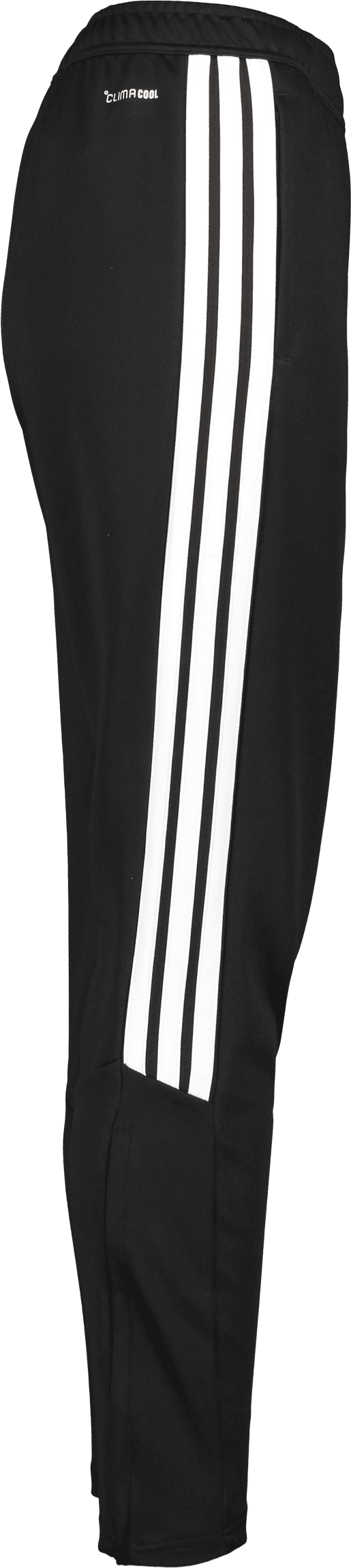 Adidas, TIRO26 L PNT W-114362, Unknown 0