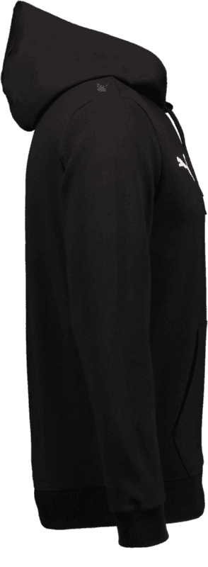 Puma, T Goal Casual Hood Sr-118000, Unknown 0