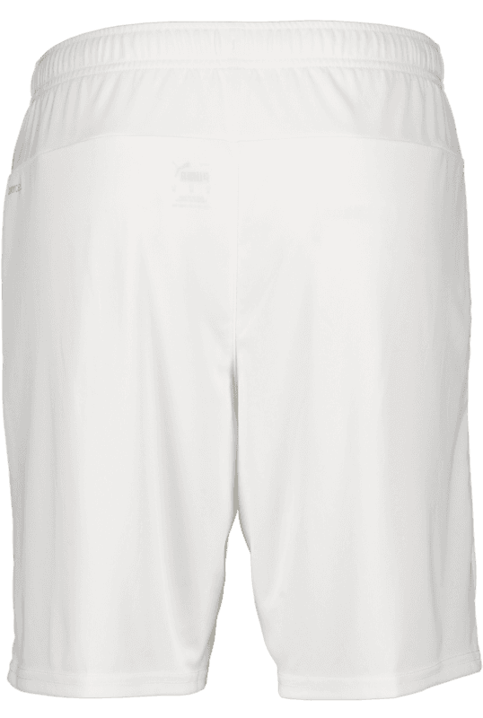 Puma, T Goal Shorts-118005, Unknown 0