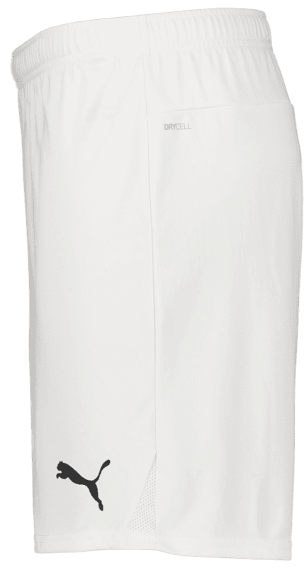Puma, T Goal Shorts-118005, Unknown 0
