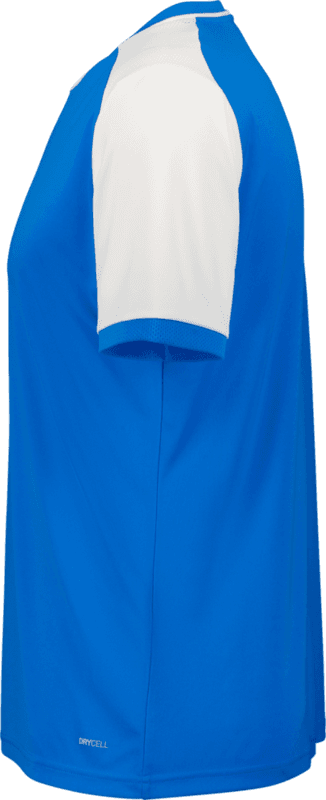 Puma, TEAMLIGA26 MATCHDAY JERSEY JR-133140, Unknown 0