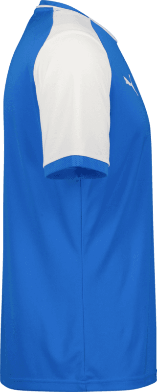 Puma, TEAMLIGA26 MATCHDAY JERSEY JR-133140, Unknown 0