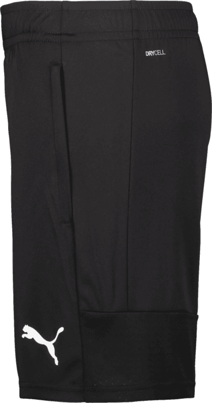 Puma, TEAMLIGA TRAINING SHORTS-140711, Unknown 0