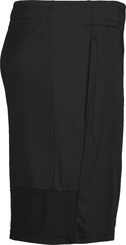 Puma, TEAMLIGA TRAINING SHORTS-140711, Unknown 0