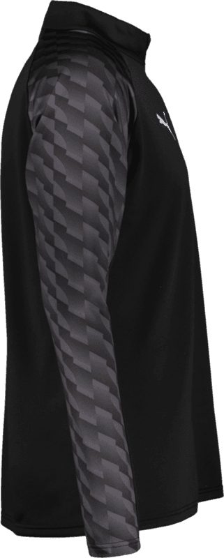 Puma, TEAMLIGA26 TRAINING 1/4 ZIP TOP-155285, Unknown 0