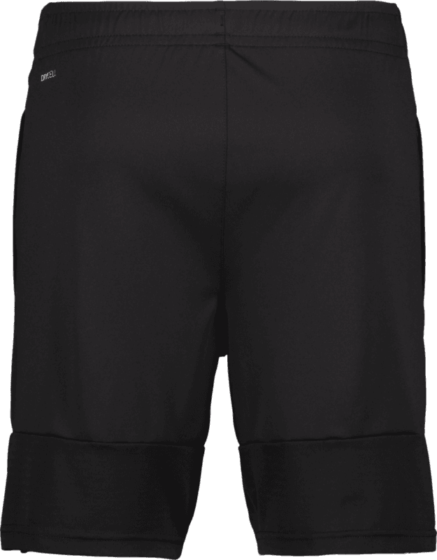Puma, TEAMLIGA TRAINING SHORTS-159994, Unknown 0