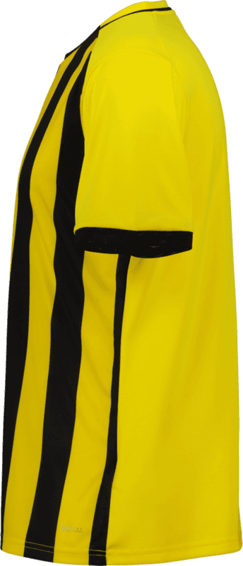 Puma, LIGA26 STRIPED JSY-27754, Unknown 0