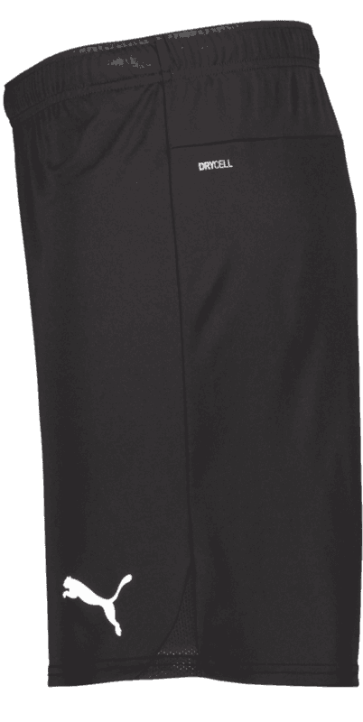 Puma, T Goal Shorts-27793, Unknown 0