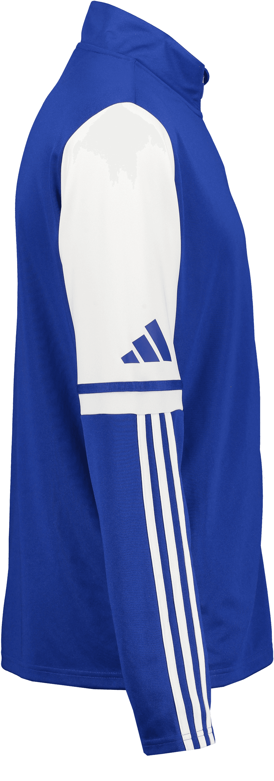 Adidas, Squad25 Tr Jkt Jr-49087, Unknown 0