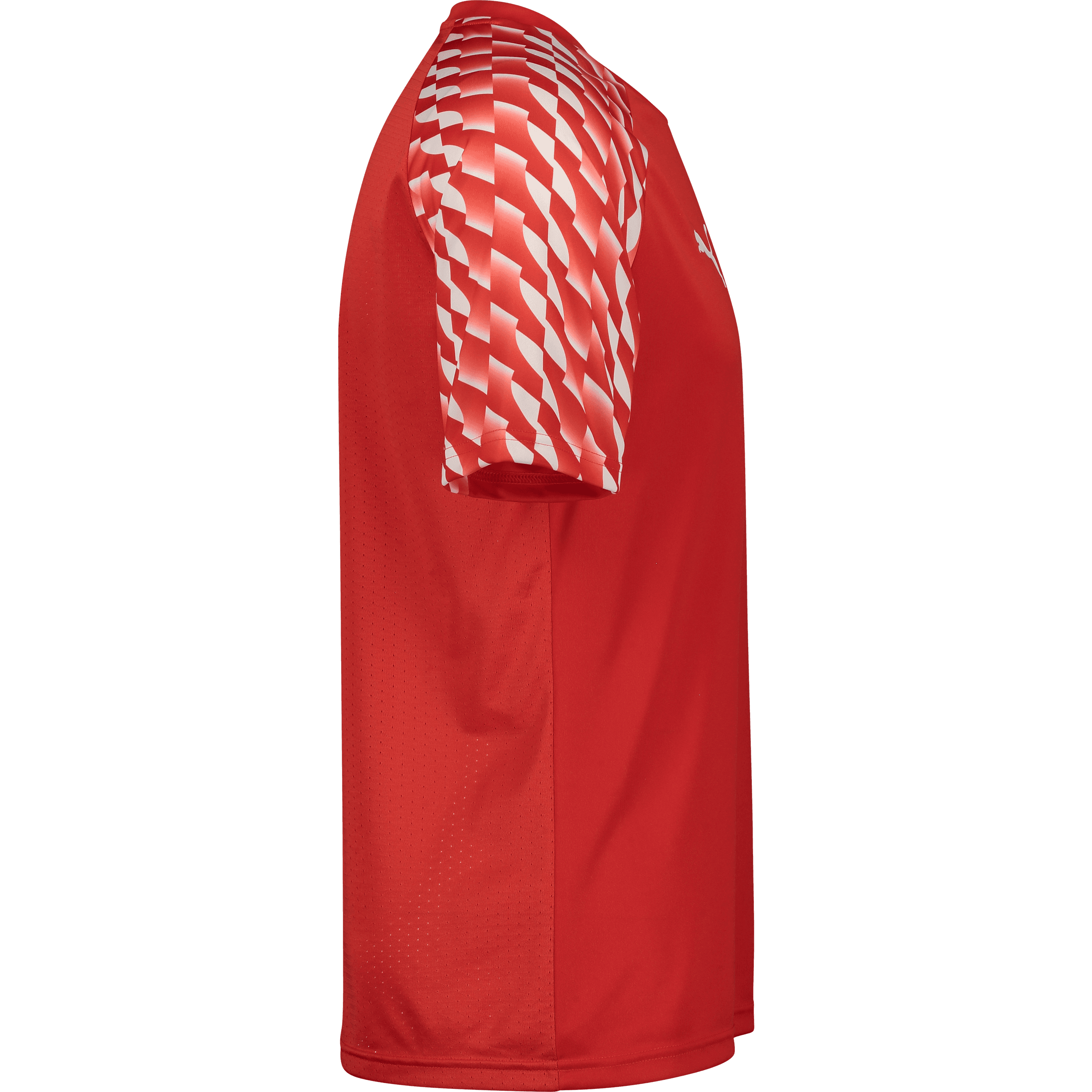 Puma, TEAMLIGA26 JERSEY-67493, Unknown 0