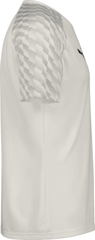 Puma, TEAMLIGA26 JERSEY JR-75133, Unknown 0