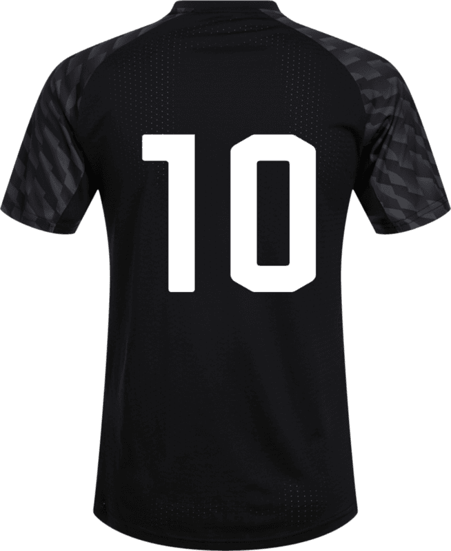 Puma, TEAMLIGA26 JERSEY-75137, Unknown 0
