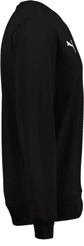 Puma, T Goal Cas Crew Sweat-75160, Unknown 0