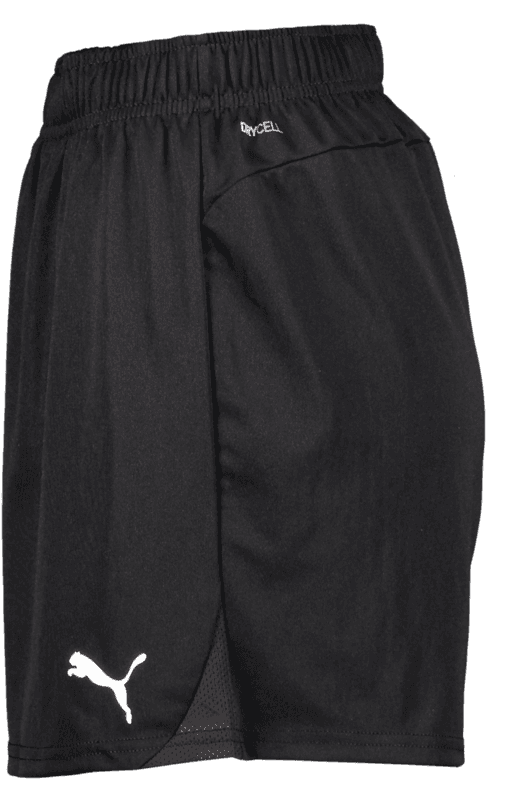 Puma, T Goal Shorts Wmns-75170, Unknown 0