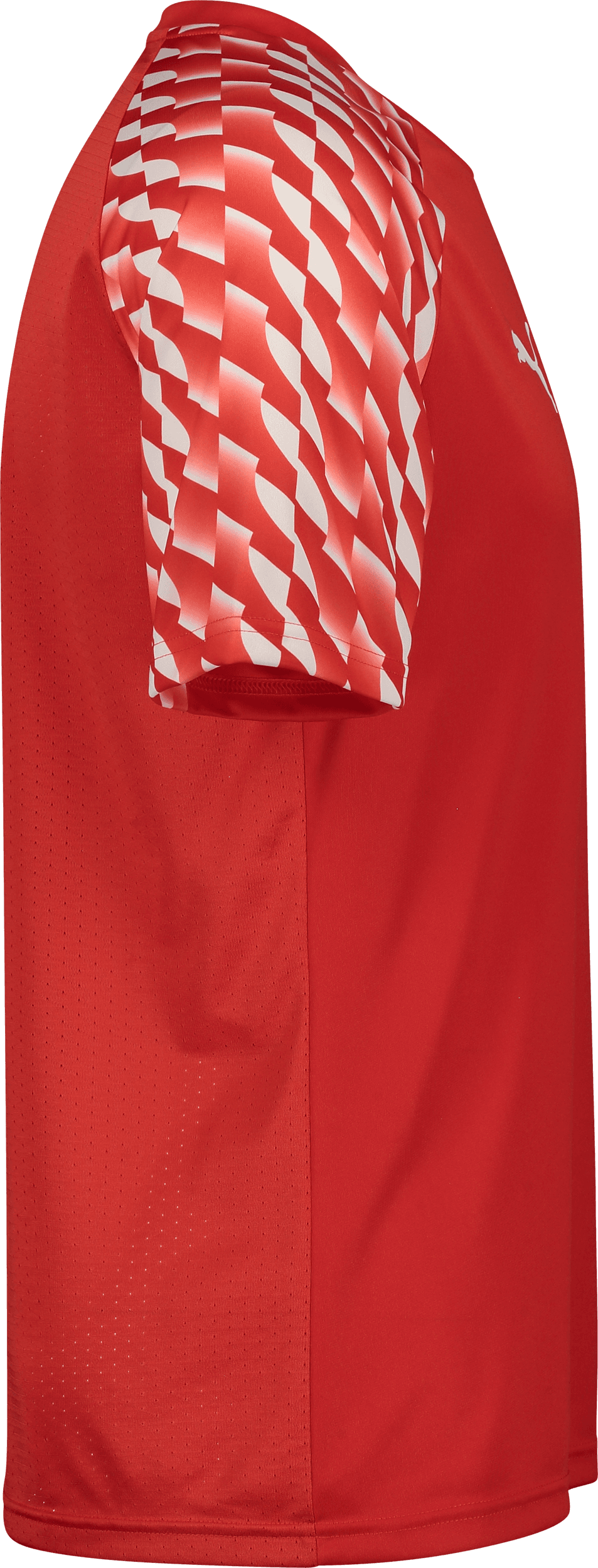 Puma, TEAMLIGA26 JERSEY JR-90939, Unknown 0