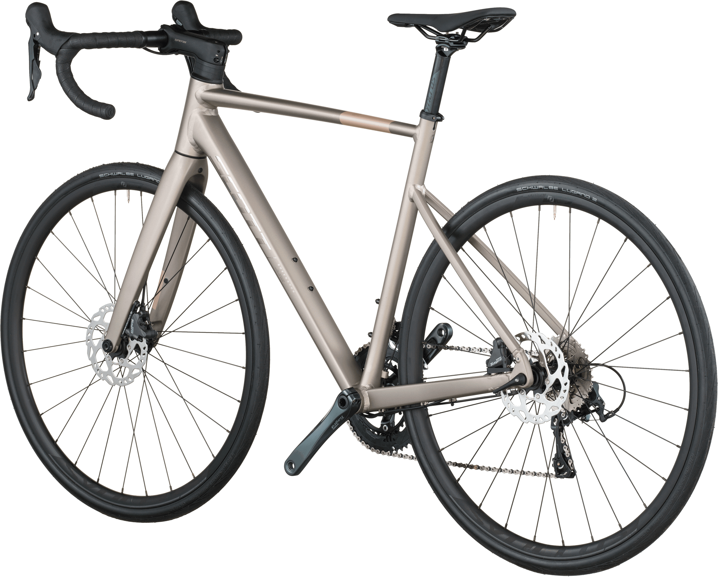 Scott, SPEEDSTER 20, Detail 1