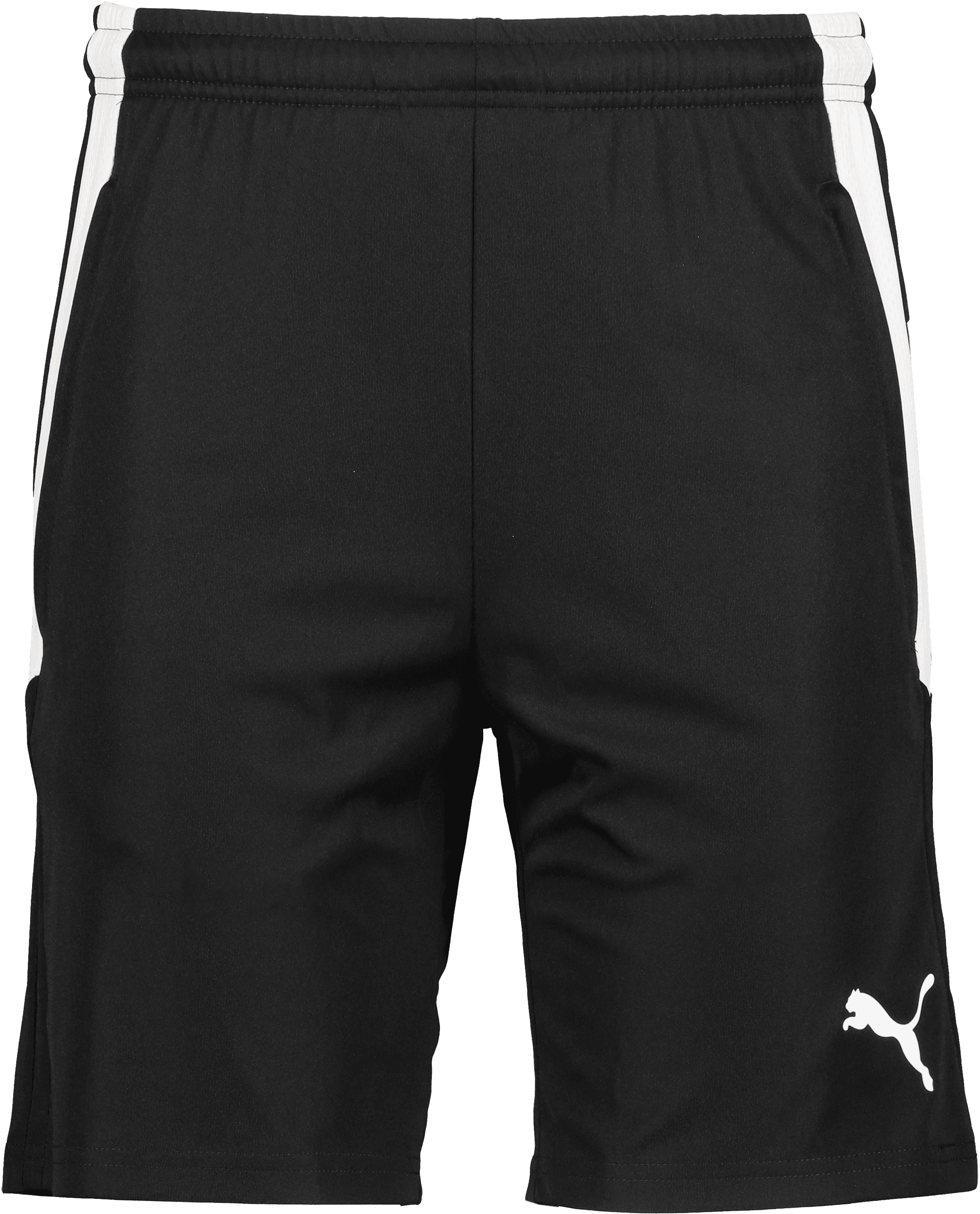 Puma, T Liga Trg Sho-73580, Product 0