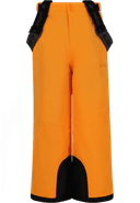 Provo Ski Pants, Brown