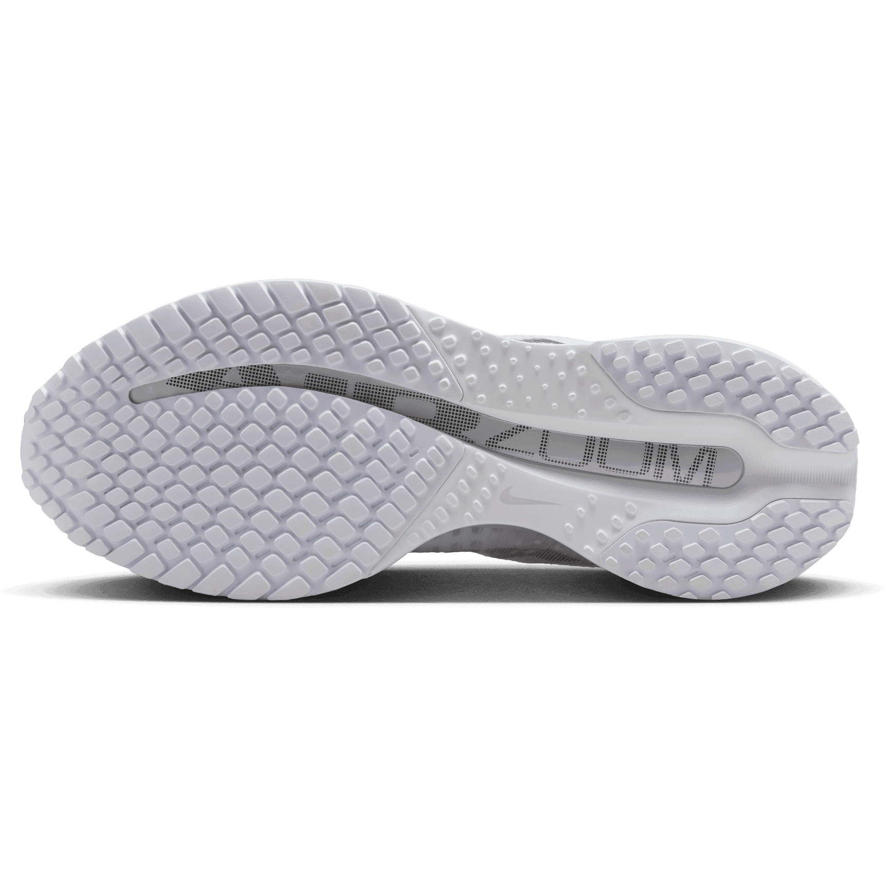 Nike, W Pegasus Premium, Detail 1