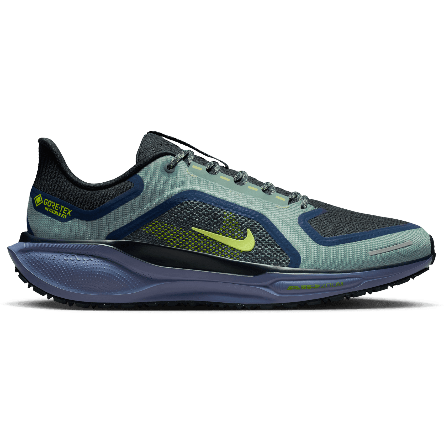Nike, M Pegasus 41 Gore-Tex, Product 0