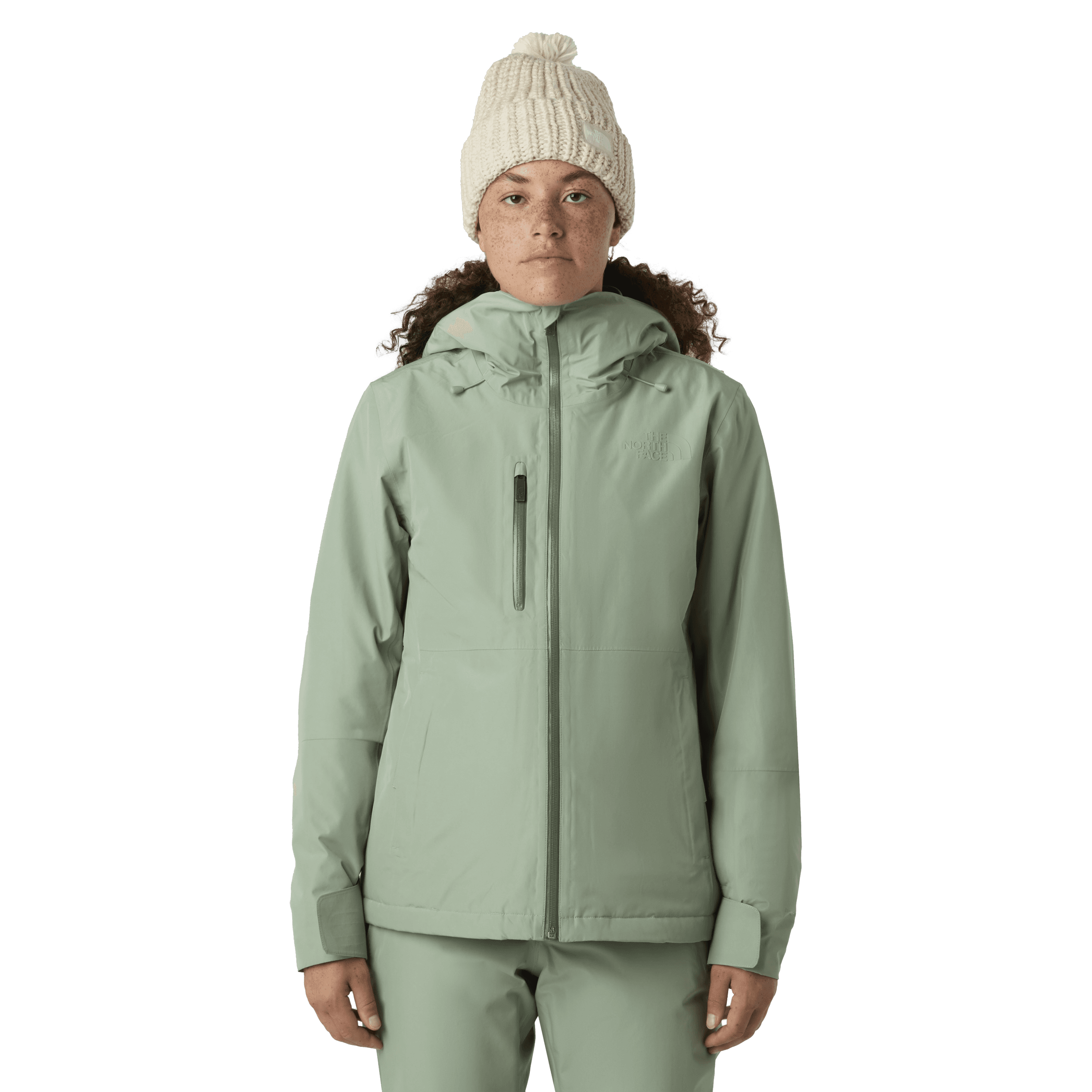 THE NORTH FACE, W Descendit Jacket, Model 1