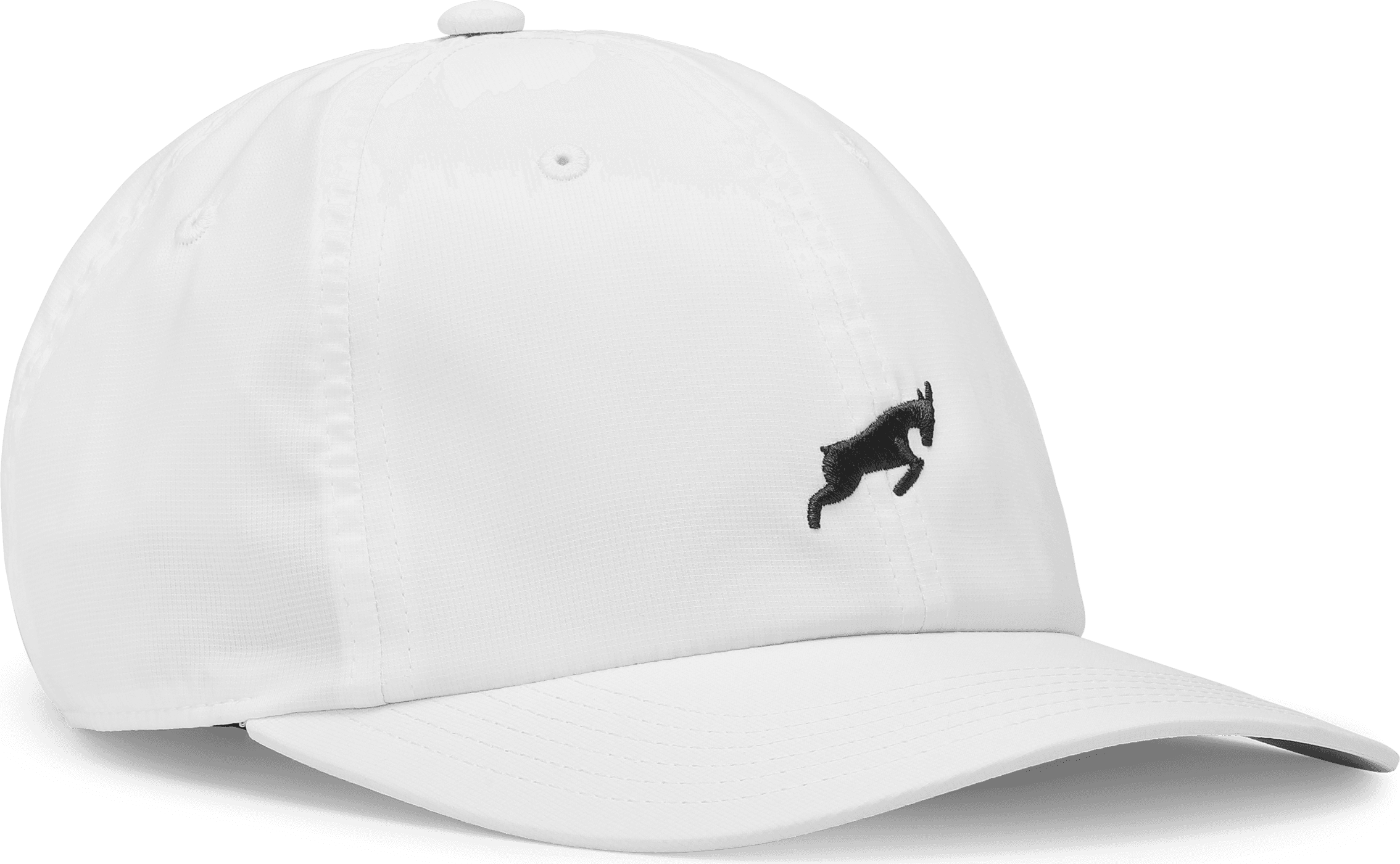 GOATLANE, DAD CAP RIPSTOP, Product 0