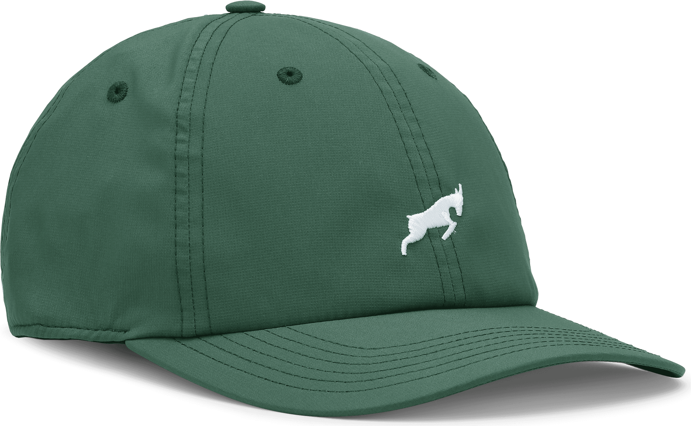 GOATLANE, DAD CAP RIPSTOP, Product 0