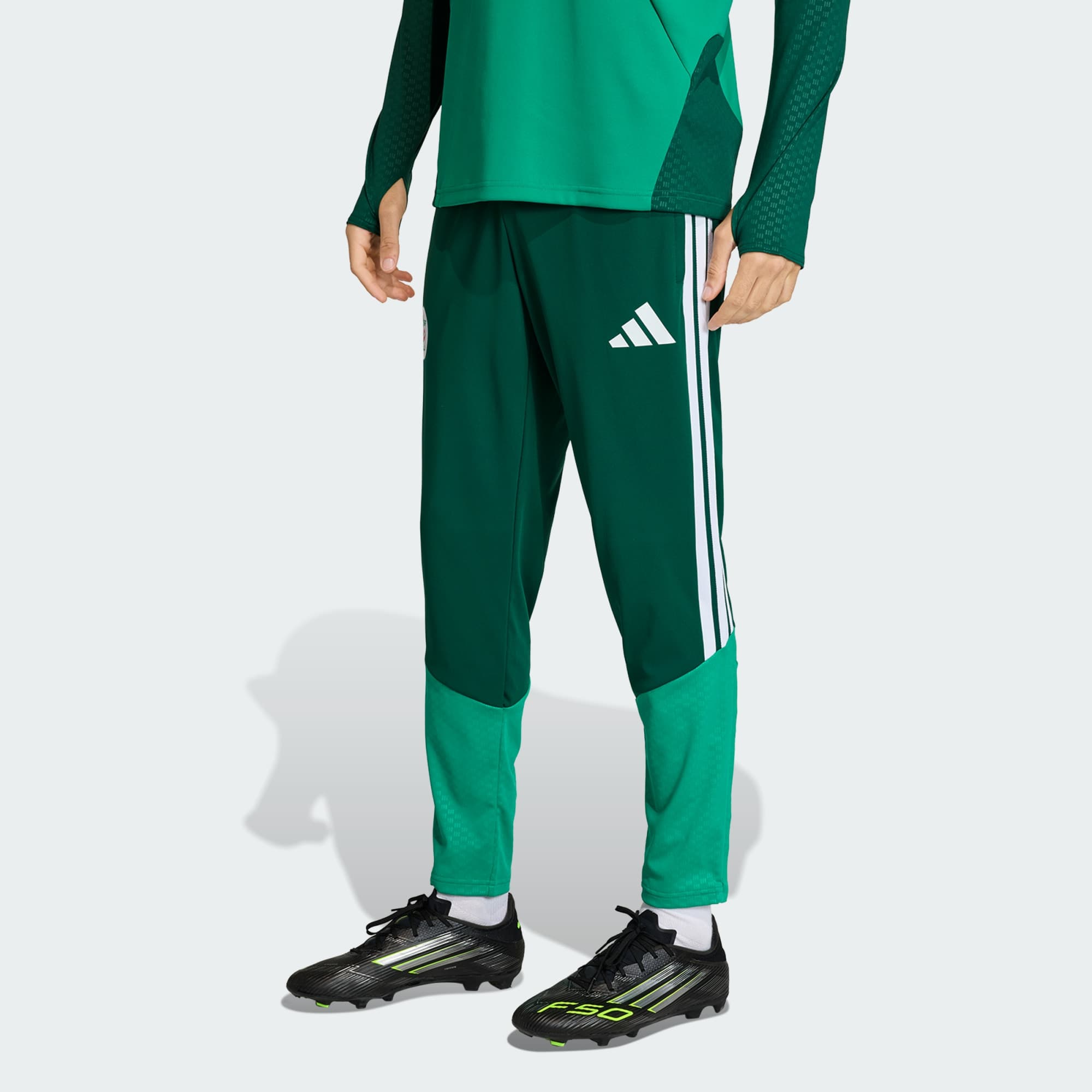 Adidas, Adidas Algeriet 26 Träningsbyxor, Model 1