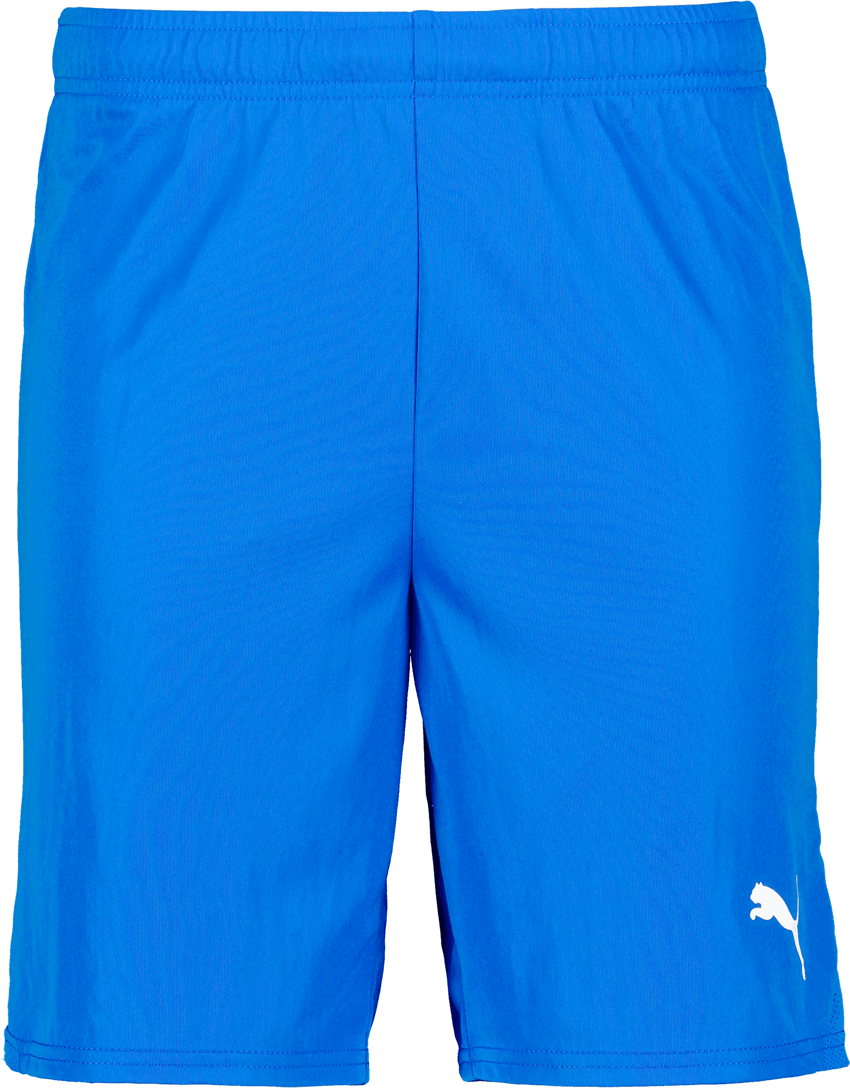 Puma, T Goal Shorts-100868, Product 0
