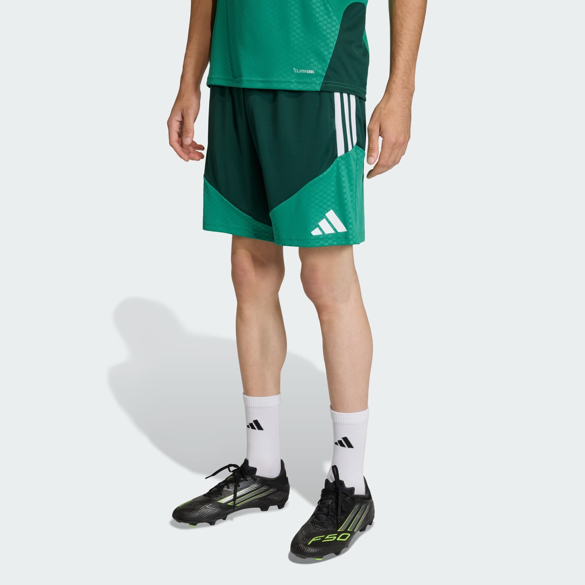 Adidas, Adidas Algeriet 26 Träningsshorts, Model 1