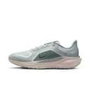 M Pegasus 41 Gore-Tex, Grey