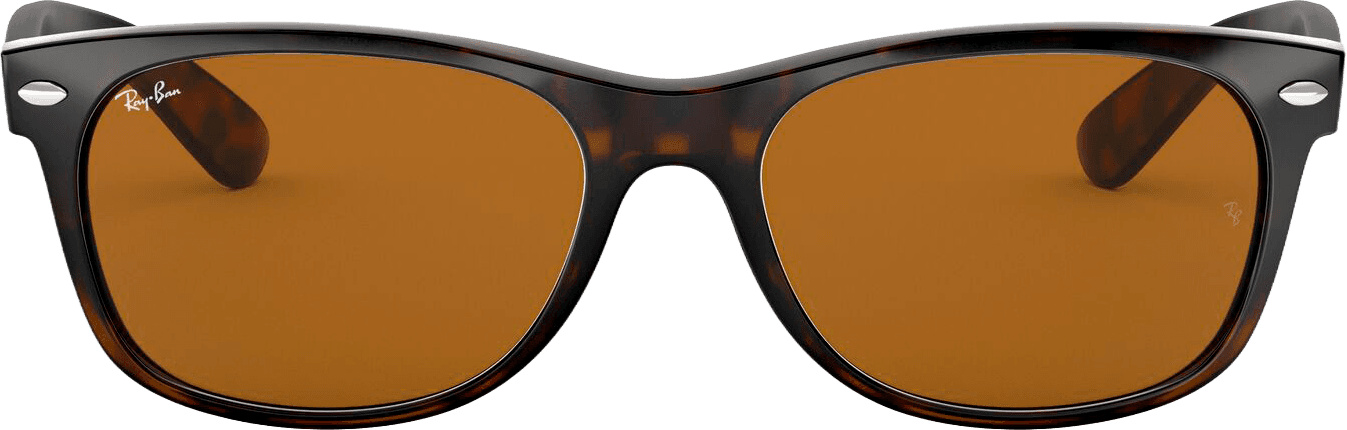 Ray-Ban, NEW WAYFARER, Detail 1