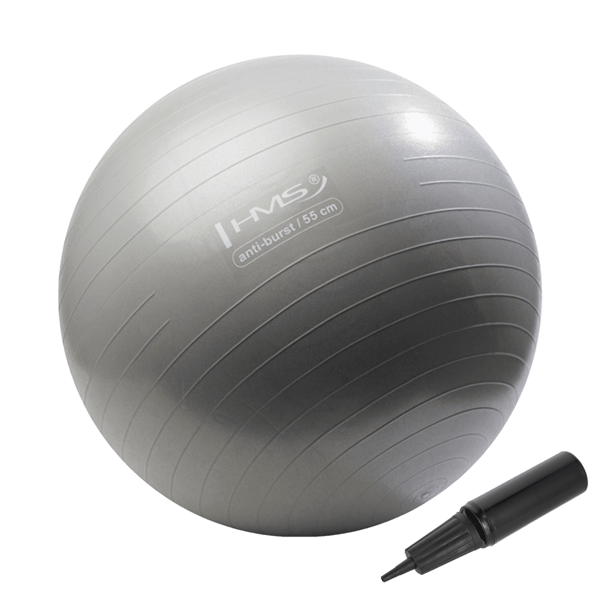 northix, 55cm Graphite Gym Ball – Anti-burst Stability Ball, Product 0
