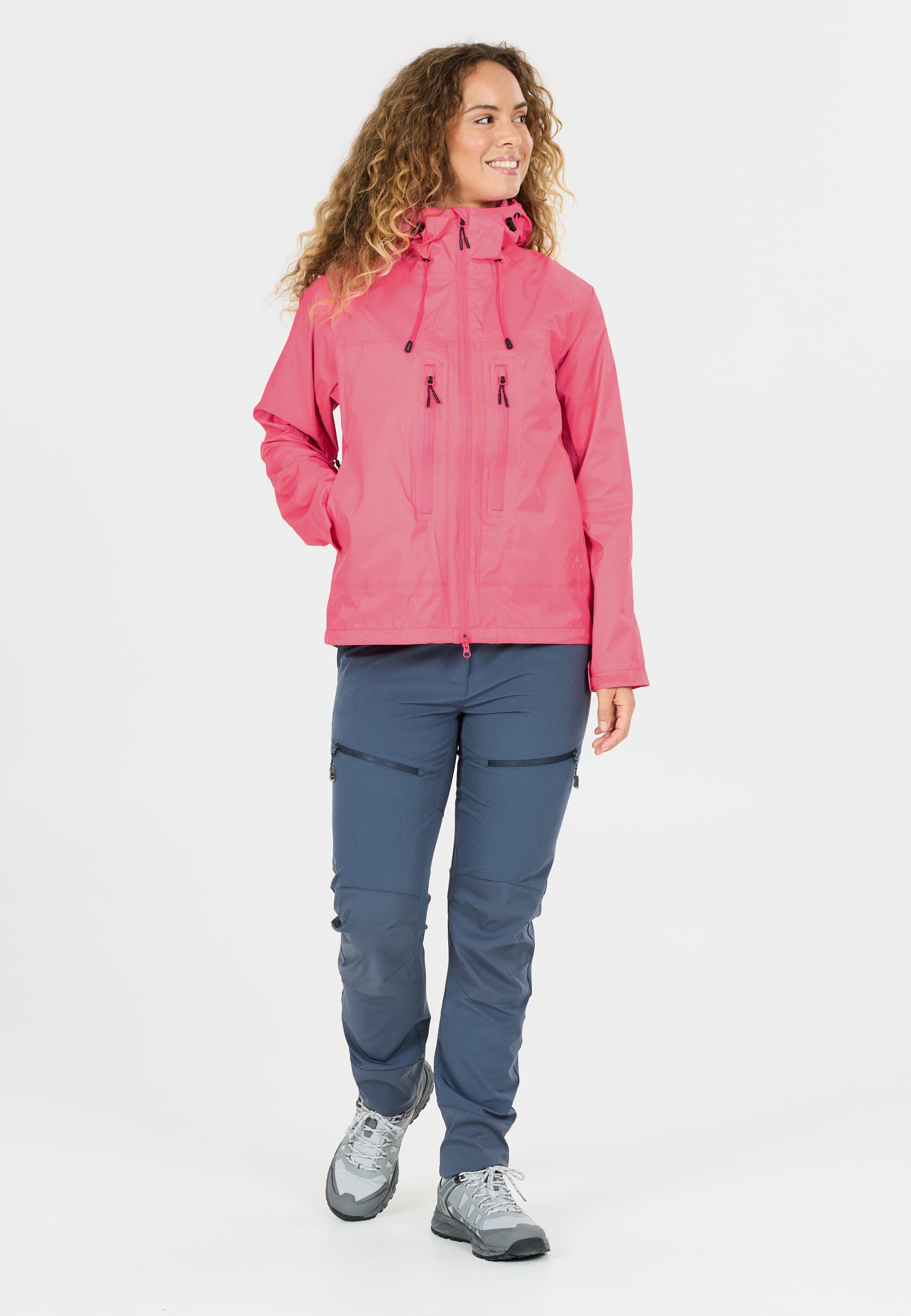 whistler, Tobin, Model 1